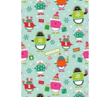 Ditipo Gift wrapping paper 70 x 500 cm Light green birds in sweaters