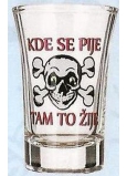 Nekupto Gifts with humor Glass shot humorous Where they drink, there it lives 0.04 l