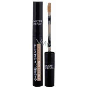 Gabriella Salvete Perfect Skin Concealer Waterproof Concealer 01 6.2 ml