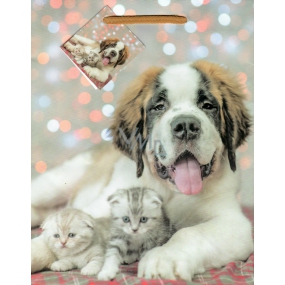 Nekupto Gift paper bag 18 x 23 x 10 cm Dog with kittens 1772 01 KFM