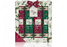 Baylis & Harding Mulberries, Mistletoe and Cranberry cleansing gel 2 x 30 ml + body lotion 2 x 30 ml, cosmetic set
