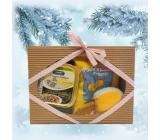 Canis Prosper Christmas gift plastic box with toy for cats 3