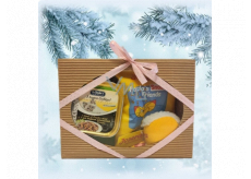 Canis Prosper Christmas gift plastic box with toy for cats 3