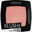 Catrice Blush Box blush 025 Nude Peach 6 g
