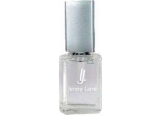 Jenny Lane Nail Care Top Glossy Topcoat 14 ml