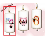 Lima Owls 2 owls candle with decal white cylinder 50 x 100 mm 1 piece