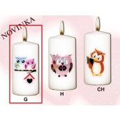 Lima Owls 2 owls candle with decal white cylinder 50 x 100 mm 1 piece