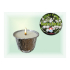 Lima Ozona Lily of the Valley Scented Candle 115 g
