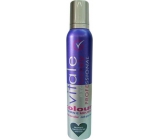 Vitale Exclusively Professional barvící pěnové tužidlo s vitaminem E Graphite - Grafitová 200 ml