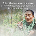 Air Wick Botanica Fresh Pineapple and Tunisian Rosemary Reed Diffuser Air Freshener 80 ml