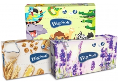 Big Soft Deluxe cosmetic paper napkins 2 ply in a box of 100 pieces
