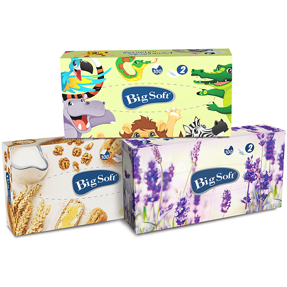 Big Soft Deluxe cosmetic paper napkins 2 ply in a box of 100 pieces