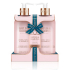 Baylis & Harding Jojoba, vanilla & almond oil liquid soap 300 ml + hand and body lotion 300 ml, cosmetic set for women