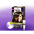 Schwarzkopf Palette 10 minutes Color hair color 550 Golden brown