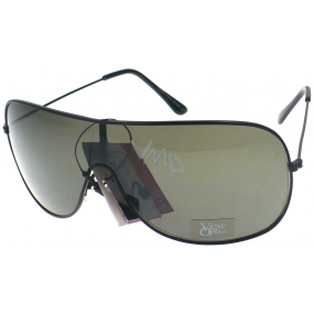 Fx Line Sunglasses FM204
