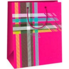 Ditipo Gift paper bag 18 x 10 x 22.7 cm pink - colored checkered