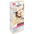 Schwarzkopf Palette Perfect Color Care Hair Color 217 Frosty silvery blond