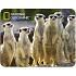 Prime3D Magnet - Meerkats 9 x 7 cm