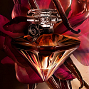 Lancome La Nuit Tresor Vanille Noire perfume for women 50 ml