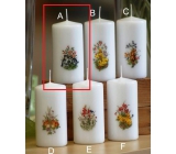 Lima Spring motif Cats candle white cylinder 50 x 100 mm 1 piece