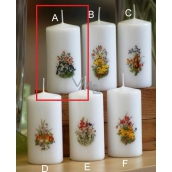 Lima Spring motif Cats candle white cylinder 50 x 100 mm 1 piece