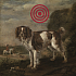 Bohemia Gifts Decorative Hanging Picture Target Dog 30 x 30 cm