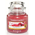 Yankee Candle Cranberry Ice - Cranberries on ice scented candle Classic small glass 104 g
