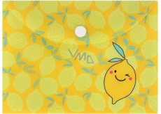 Document Case - Lemons