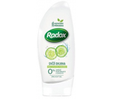 Radox Sensitive Fresh cucumber shower gel for sensitive skin 250 ml