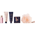 Grace Cole Velvet Rose & Peony shower gel 50 ml + hand cream 50 ml + body cream 50 ml + bubble bath 80 g + washing sponge, cosmetic set for women