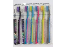 Atlantic Phantom medium toothbrush 1 piece different colours