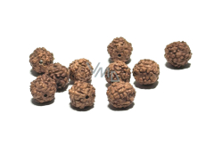 Rudraksha natural bead 7 mm, 10 pieces