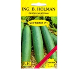 Holman F1 Victoria salad cucumbers 1.5 g