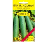 Holman F1 Viktorie cucumber salad 1.5 g