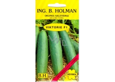 Holman F1 Victoria salad cucumbers 1.5 g