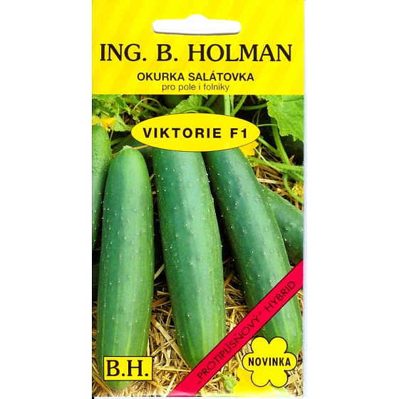 Holman F1 Viktorie salad cucumbers 1 g