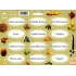 Arch Stickers for Spice Jars Jute Chromolithography Grilling Spices - Spice Blends (Common)