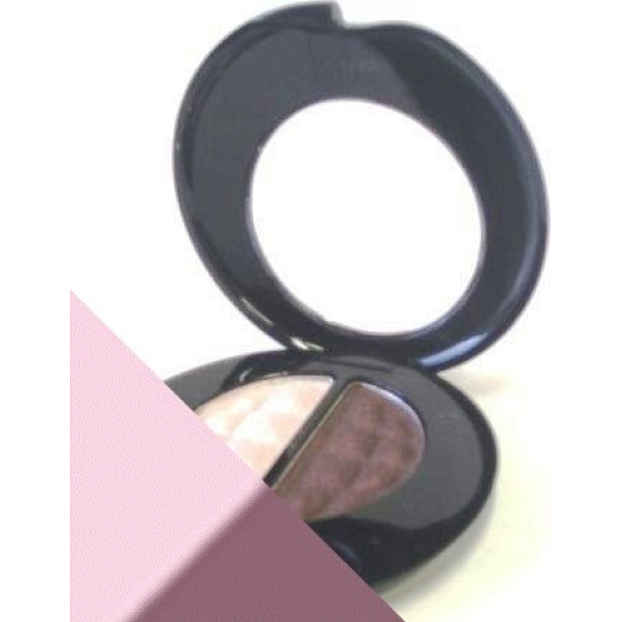 Astor Color Vision eyeshadow duo 010 4 g