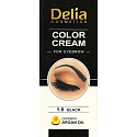 Delia Cosmetics Color Cream eyebrow tint with argan oil 1.0 Black 15 ml + 15 ml