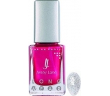 Jenny Lane Long Wear nail polish with long-lasting effect 181 Holographic 14 ml