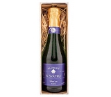 Bohemia Gifts Gift sparkling wine for the holiday 0.2 l
