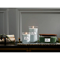 WoodWick Magnolia Birch scented candle with wooden wick and lid glass small 85 g