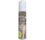 SLM Touch Up Spray Spray to cover grey hair and grey hair Blond 75 ml