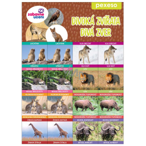 Ditipo Pexeso Wild Animals 297 x 222 mm