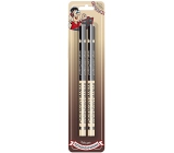 Nekupto Hobby Wooden Pencils Computer Maniac 2 Pieces