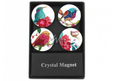 Albi Crystal magnets Birds 4 pieces