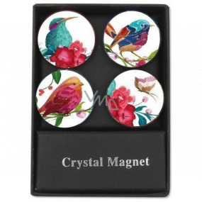 Albi Crystal magnets Birds 4 pieces