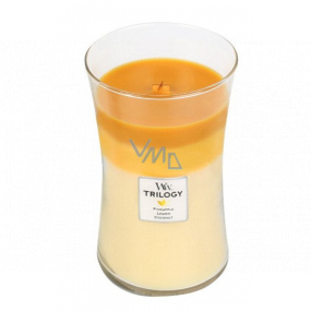 WoodWick Trilogy Fruits of Summer - Summer fruits scented candle with wooden wick and lid glass large 609 g