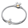 Charm Sterling silver 925 Disney 100. anniversary Winnie the Pooh, bead for bracelet