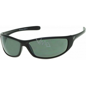 Fx Line Sunglasses T801